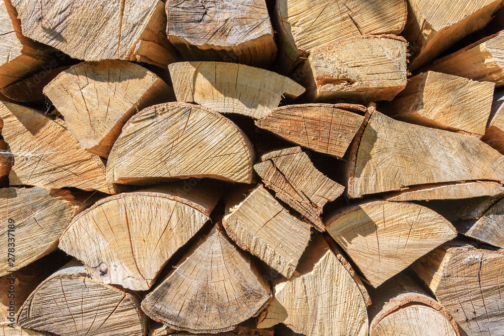Picture of logs stacked on pile.. Picture of logs stacked on pile..