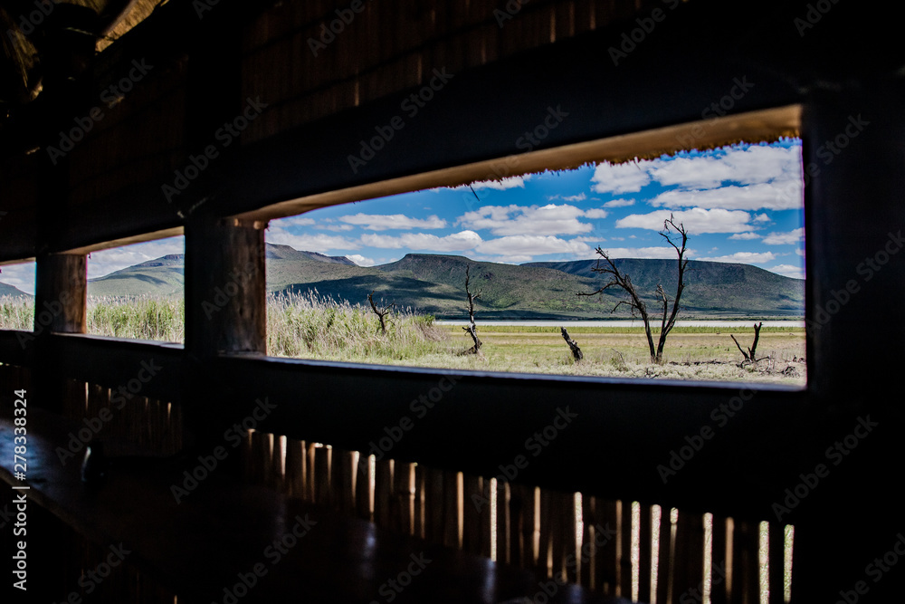 Open Grassland with dead trees, lake and mountain in the distance. Strong contrast between land, water and sky - view from Bird Hide.