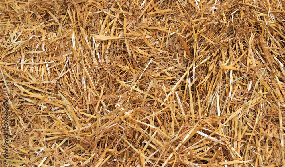 Dry straw background - Natural background