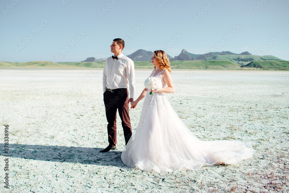 Happy newlywed couple. Beautiful bride and groom in a suit. Happy newlywed couple. Beautiful bride and groom in a suit.