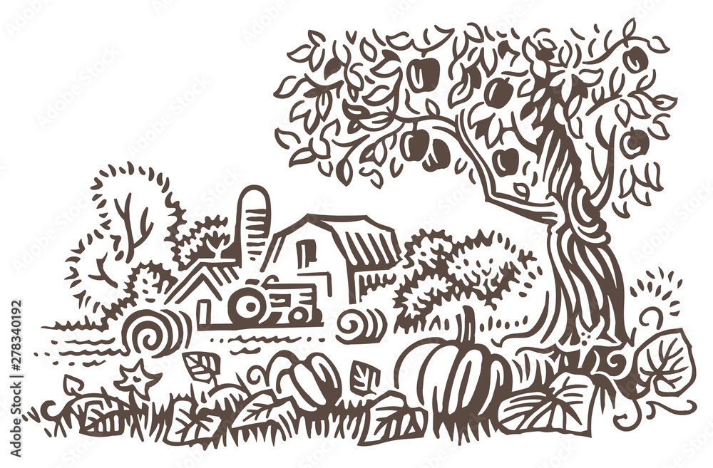 Obraz premium Farmland harvest time illustration. Rural landscape in autumn. Vector. 
