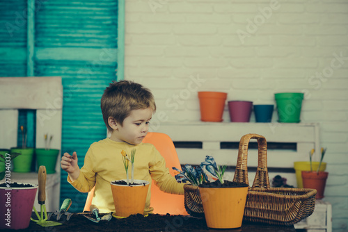 Cute child boy helps to care for plants. Children engaged in gardening near window at home. Happy family in spring day.