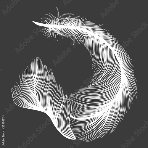 Feather isolated on black.Vector illustration.