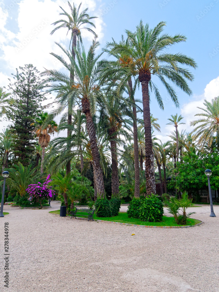 A beautiful garden in a palm grove in Elche, Spain.