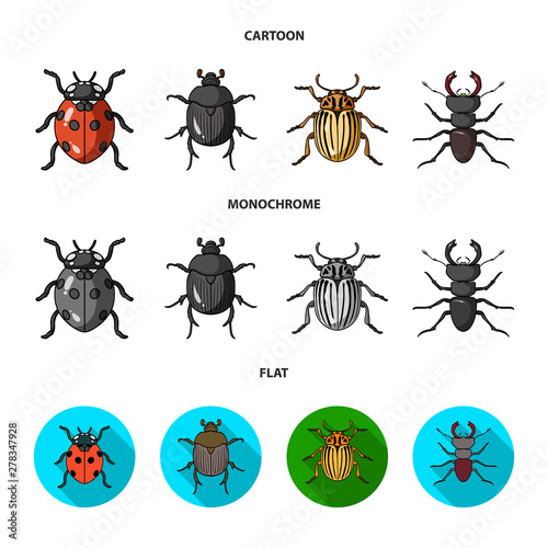 Vector illustration of insect and beetle sign. Set of insect and halloween vector icon for stock.
