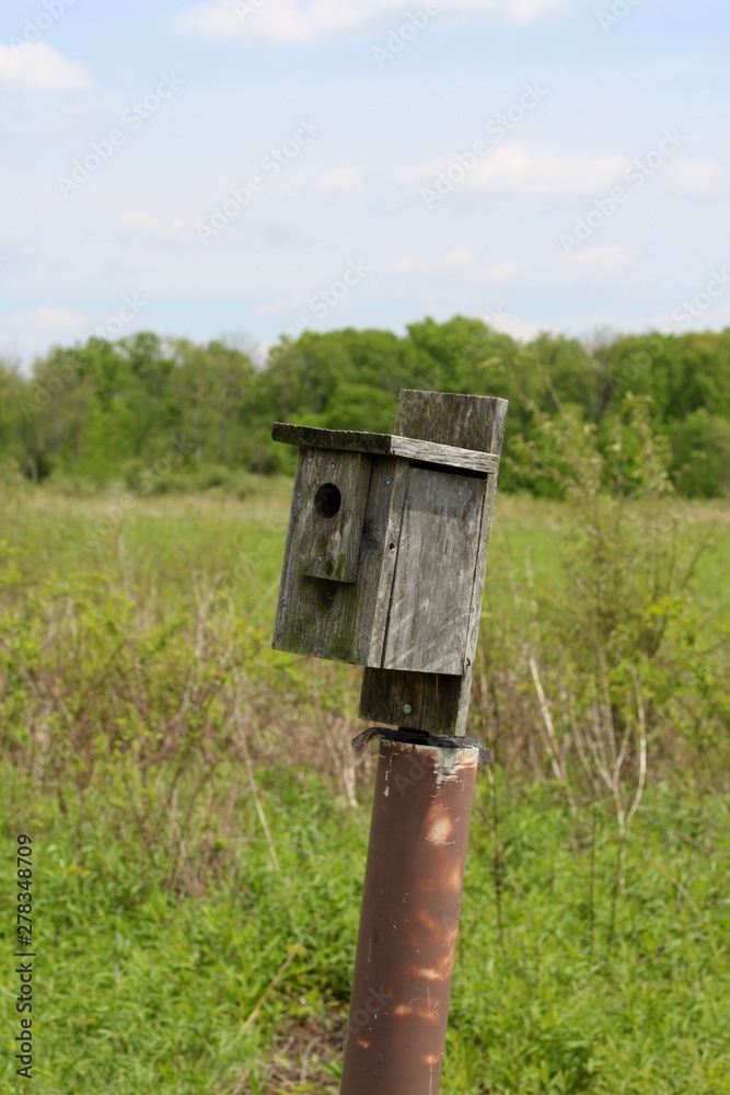 A close view on the birdhouse in the country prairie.