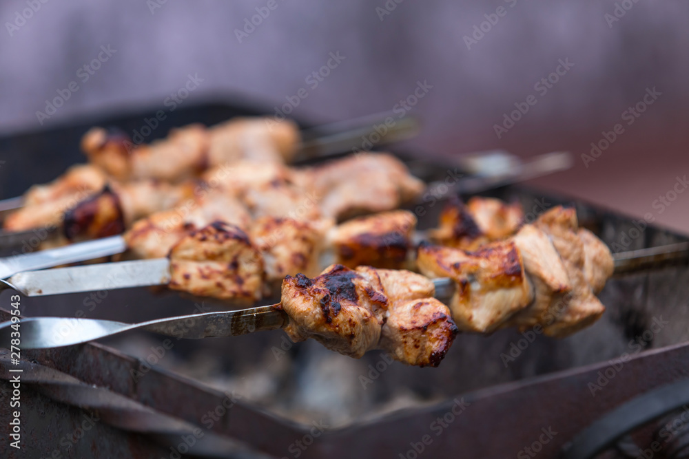 Cooking shashlik on the mangal in nature. Selective focus.