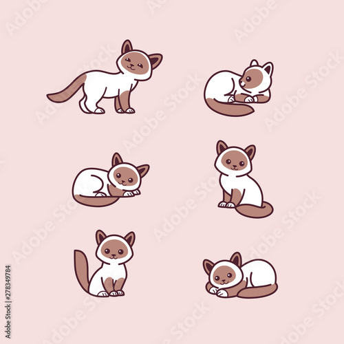 Cats icon set. Different type of cats. Vector illustration for prints, clothing, packaging, stickers, stickers.