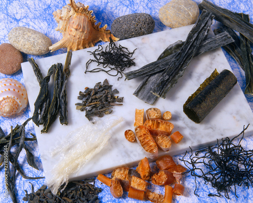 Assorted seaweeds. photo