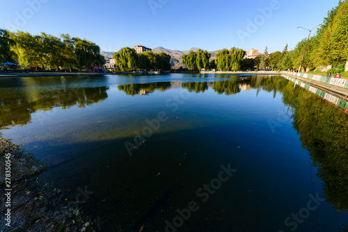 Awesome landscape with lake and willow trees, Armenia