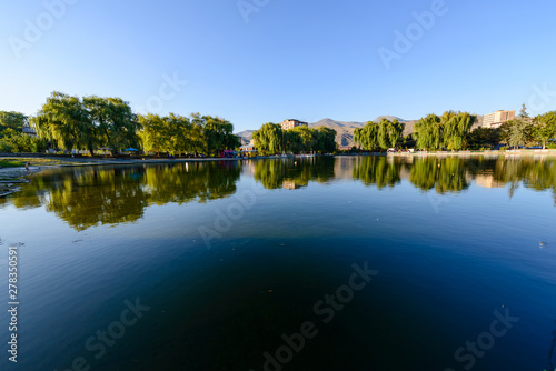 Awesome landscape with lake and willow trees, Armenia