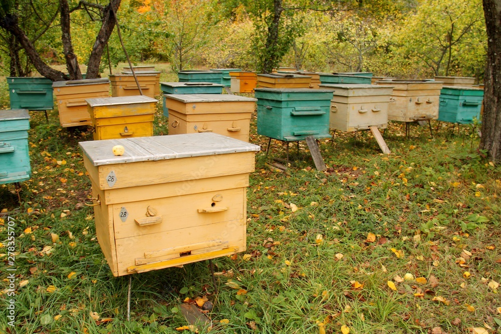 hives 1 hives 1