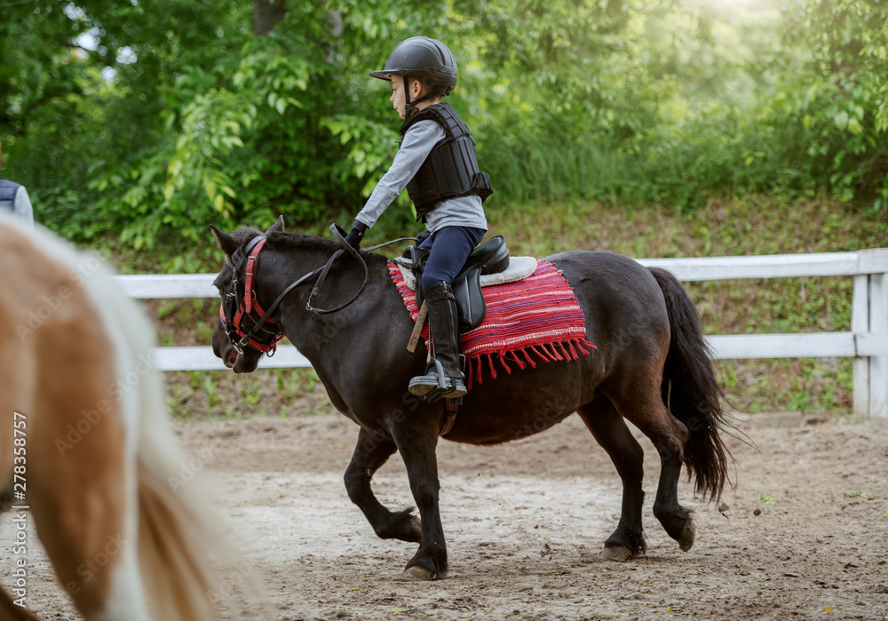 Playful little jockey boy riding adorable pony at sunny day on ranch. Playful little jockey boy riding adorable pony at sunny day on ranch.