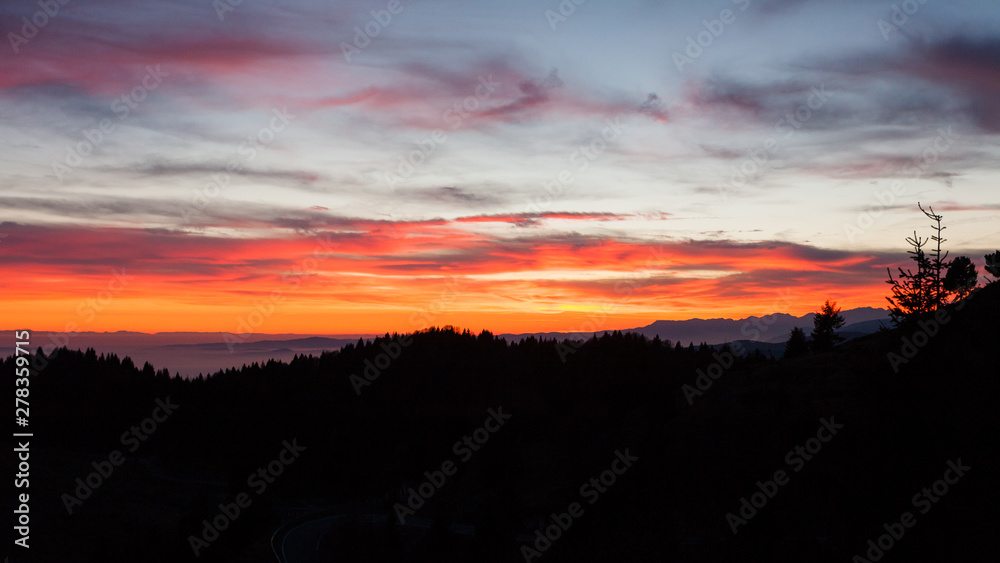 Dramatic red sky on dark woodland Dramatic red sky on dark woodland