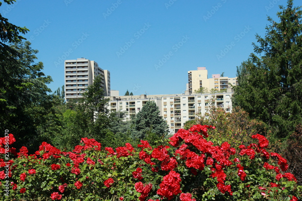 Fototapeta premium Vue sur le quartier de Fonsala à Saint Chamond