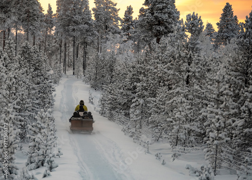 Snowmobile dragging a trailer full of holiday makers on a tour of the arctic forests under © CharnwoodPhoto