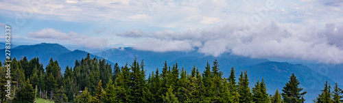 Banner panorama of Oregon coniferous green forests and mountains with cloudy skies 