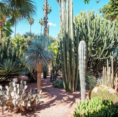 Majorelle Garden in Marrakech, Morocco