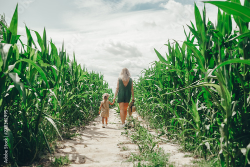 A young beautiful woman with her little cute daughter walking in the corn field on a sunny summer day. Back view