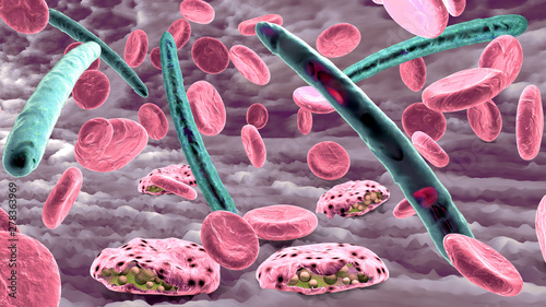 Malaria pathogen causing malaria illness and blood cells into blood circulation - 3d illustration