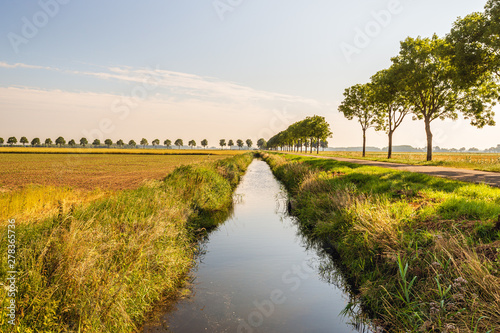 Long straight ditch in a Dutch polder landscape