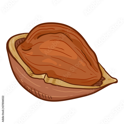 Vector Single Cartoon Hazelnut