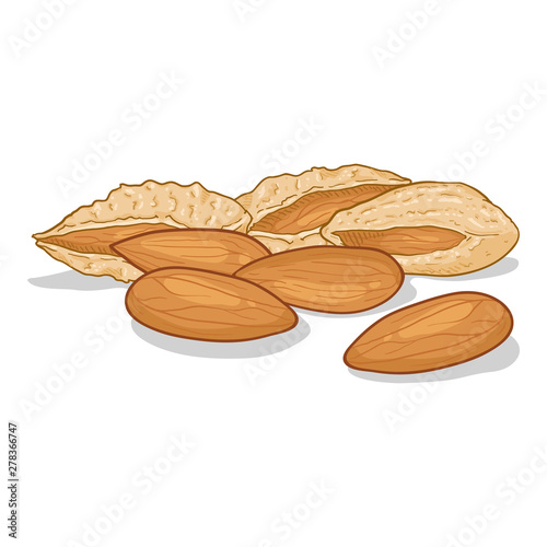 Vector Cartoon Pile of Almonds