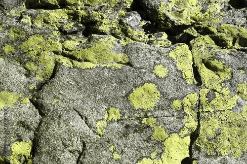 yellow old shabby mossy boulder texture - wonderful abstract photo background © Dancing Man