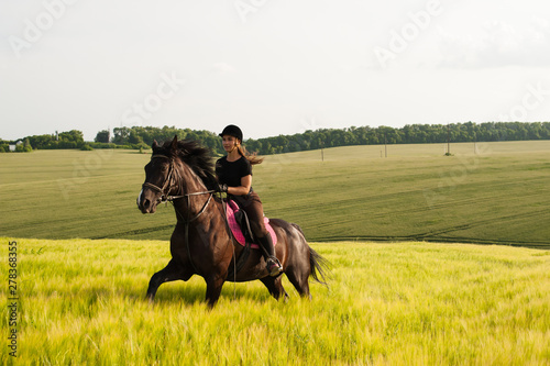 A girl and a young sports horse in the nature