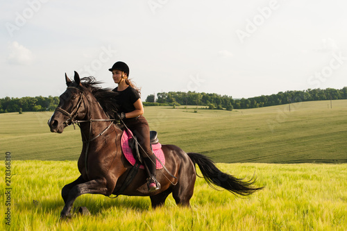 A girl and a young sports horse in the nature