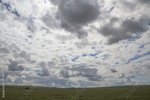 view of the field under the blue sky and white clouds