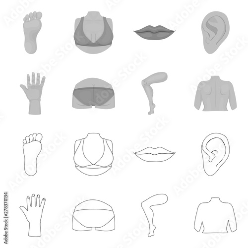 Vector illustration of body and part icon. Collection of body and anatomy stock symbol for web.