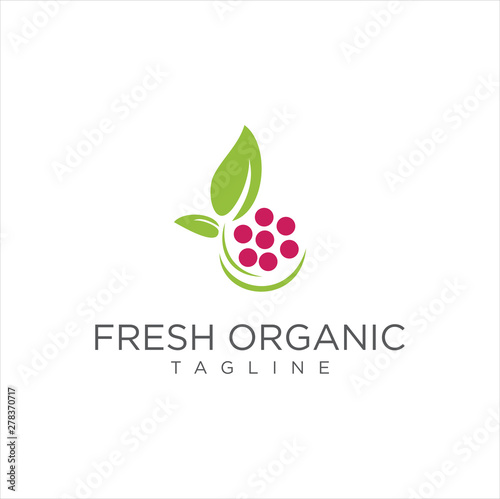Leaf Grape Logo Design Template. Grapes leaves logo template design vector Print Illustrations .