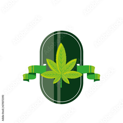 frame with cannabis leaf plant and ribbon