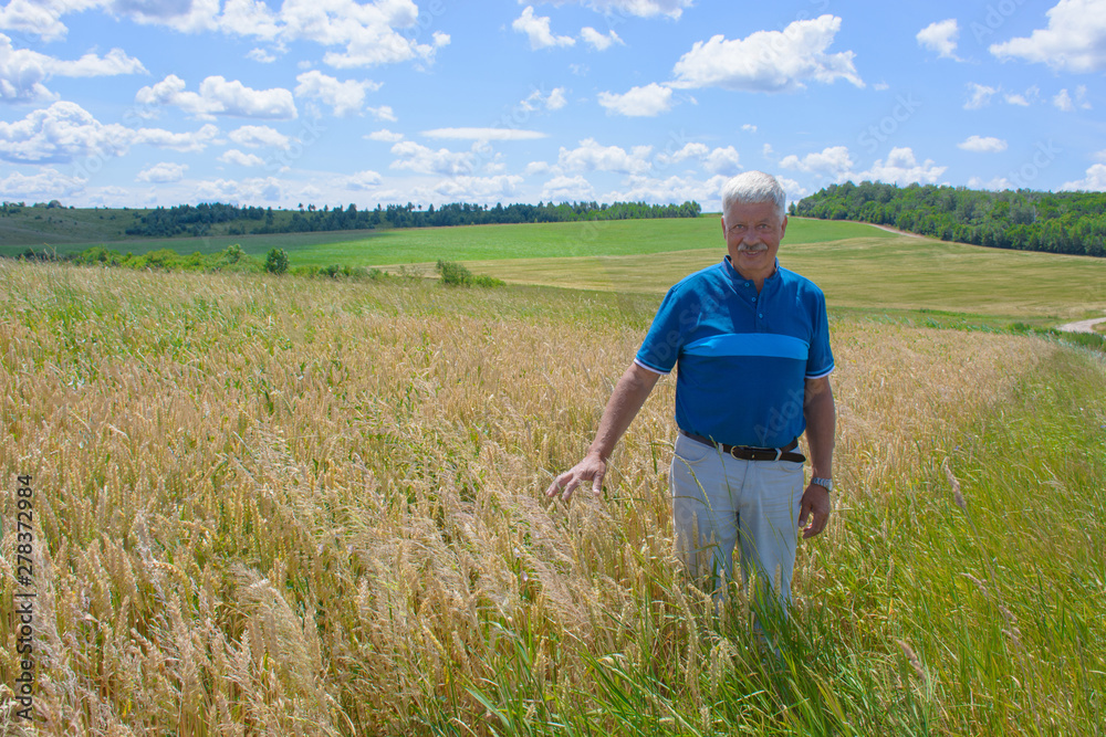 happy old elderly male standing in wheat fields. Healthcare lifestyle senior man walking on field in village.