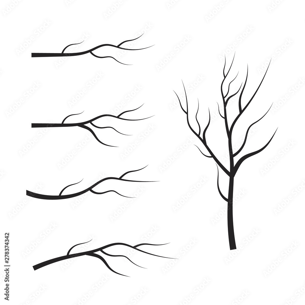 Fototapeta premium vector set dry tree branches. Leaves, swirls and floral elements