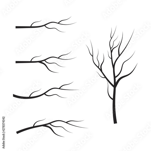 vector set dry tree branches. Leaves, swirls and floral elements