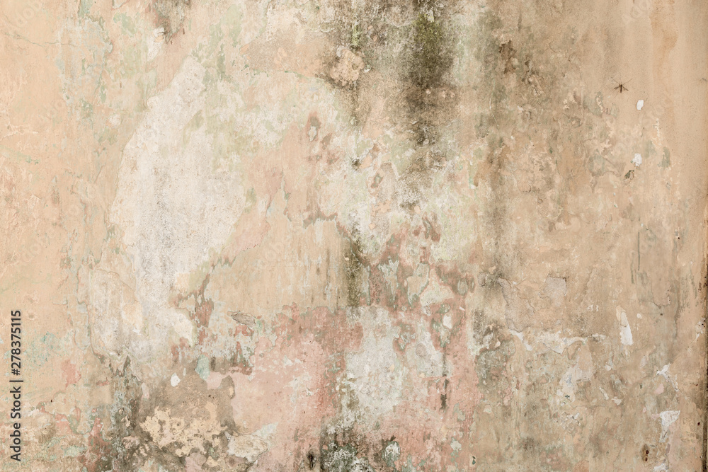 old shabby damaged plaster on the walls of houses close-up old shabby damaged plaster on the walls of houses close-up