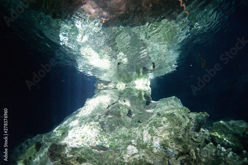 Cenote in Yucatan from underwater 