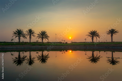 morning drama sunrise view in Modon lake Dammam Saudi Arabia © AFZALKHAN