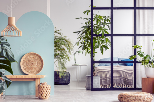 Urban jungle in bright white and blue bedroom interior with partition photo