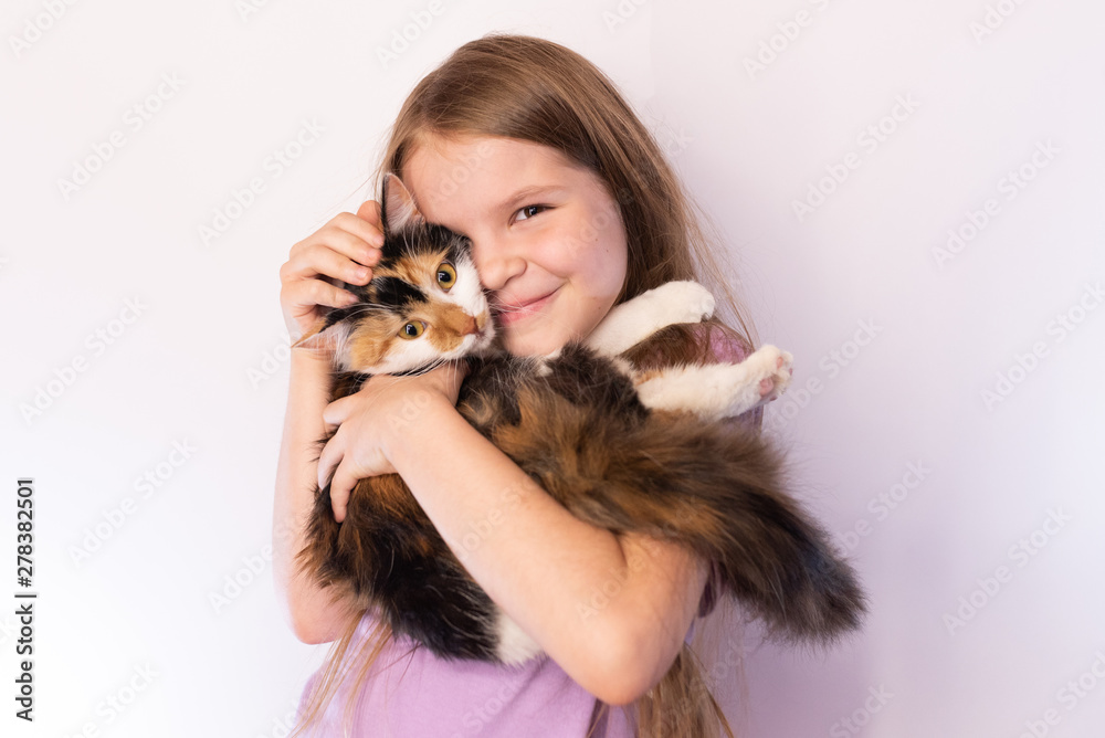 Little cute girl holding a tricolor cat and hugs her, on a light background Little cute girl holding a tricolor cat and hugs her, on a light background