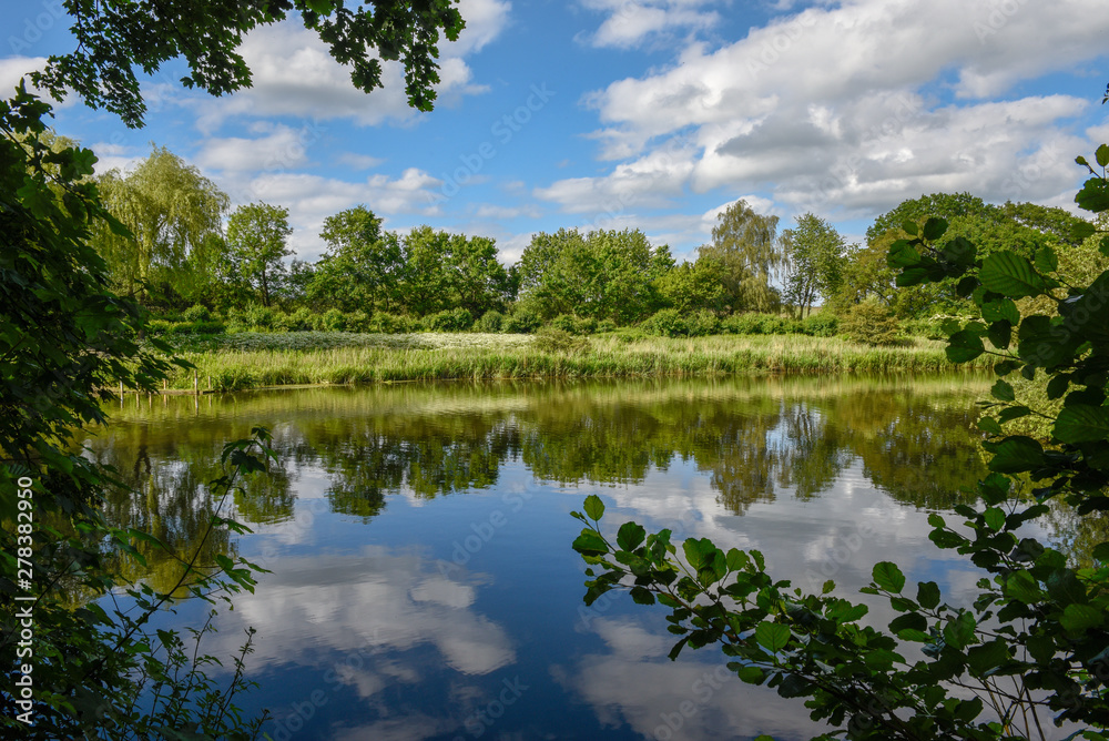 Fototapeta premium Landscape of the lake at Vestbirk in Denmark