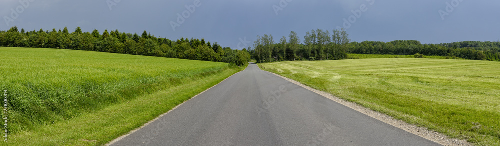 Road in the middle of a green meadow
