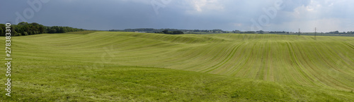 Landscape of a green meadow in Denmark © fotoember