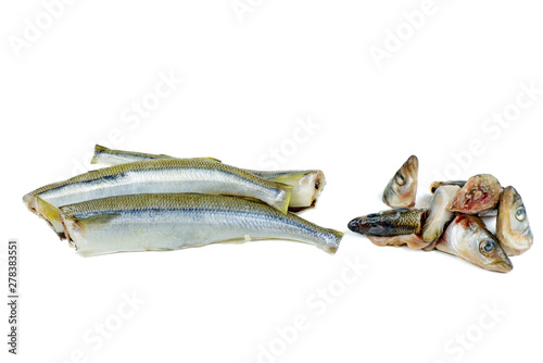 Ready to cook fresh raw european smelt fishes isolated on white background photo