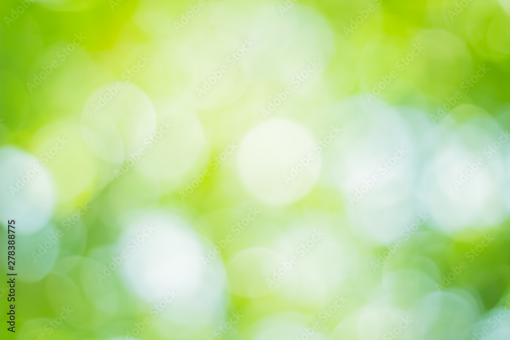 Natural spring blurred green leaves background. Create light soft colors and bright sunshine.. Natural spring blurred green leaves background. Create light soft colors and bright sunshine..