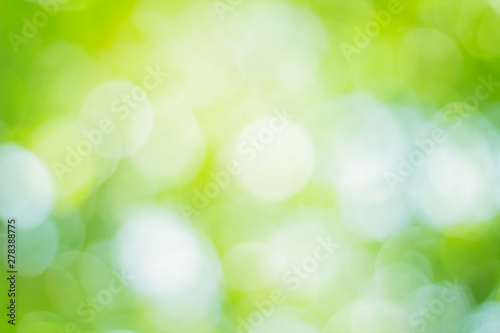 Natural spring blurred green leaves background. Create light soft colors and bright sunshine..