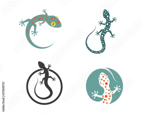 Gecko logo vector icon illustration