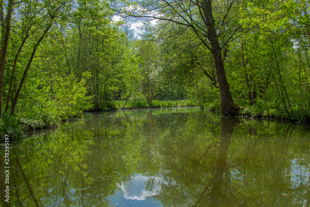 Vue du Marais Poitevin